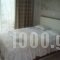 Phaethon_lowest prices_in_Apartment_Macedonia_Halkidiki_Kallithea