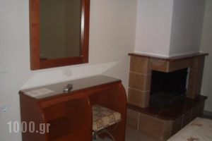 Kiwi_best prices_in_Hotel_Macedonia_Halkidiki_Nea Fokea
