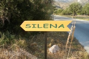 Silena_accommodation_in_Apartment_Aegean Islands_Samos_Kambos