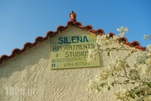 Silena_lowest prices_in_Apartment_Aegean Islands_Samos_Kambos