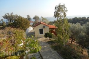Silena_best deals_Apartment_Aegean Islands_Samos_Kambos