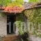 Avragonio Traditional Apartments_lowest prices_in_Hotel_Epirus_Ioannina_Papiggo