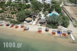 Medusa Resort Suites in Athens, Attica, Central Greece