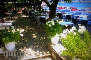 Evripides_best prices_in_Hotel_Thessaly_Magnesia_Agios Ioannis