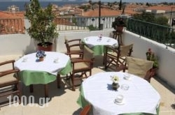 Hotel Villa Plaza in Spetses Chora, Spetses, Piraeus Islands - Trizonia