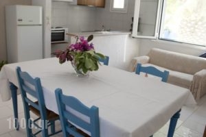 Achlia Apartments and Villas_holidays_in_Villa_Crete_Lasithi_Anatoli