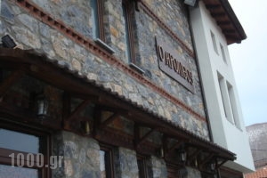 Arolithos_best prices_in_Hotel_Macedonia_Pella_Neos Agios Athanasios