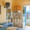 Cosmos Studios & Apartments_lowest prices_in_Apartment_Ionian Islands_Lefkada_Lefkada Rest Areas