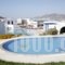 Naxoslace Hotel_holidays_in_Hotel_Cyclades Islands_Naxos_Naxos chora