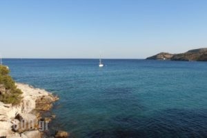 Hotel 3 Adelfia_travel_packages_in_Piraeus Islands - Trizonia_Aigina_Agia Marina