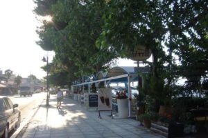 Kypreos_holidays_in_Hotel_Central Greece_Fthiotida_Kamena Vourla
