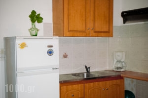 Elena's Rooms_lowest prices_in_Apartment_Peloponesse_Arcadia_Levidi