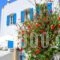 Margarita Hotel_holidays_in_Hotel_Piraeus islands - Trizonia_Kithira_Kithira Chora