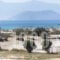 Perla_holidays_in_Apartment_Cyclades Islands_Naxos_Agios Prokopios
