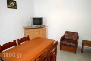 Alexia Apartments & Studios_best prices_in_Room_Dodekanessos Islands_Rhodes_Kremasti