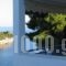 Gorgona Hotel_lowest prices_in_Hotel_Sporades Islands_Alonnisos_Patitiri