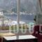 Kamari_accommodation_in_Hotel_Dodekanessos Islands_Kalimnos_Kalimnos Chora