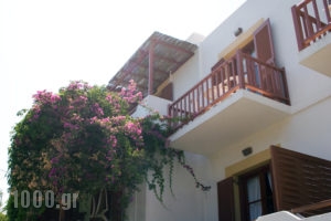 Manto_lowest prices_in_Hotel_Cyclades Islands_Paros_Naousa