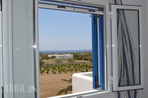 Joanna's Apartments_holidays_in_Apartment_Cyclades Islands_Naxos_Naxos Chora