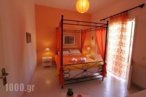 Angeliki Apartments_travel_packages_in_Ionian Islands_Paxi_Gaios