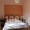 Asterida_accommodation_in_Room_Ionian Islands_Ithaki_Stavros
