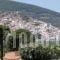 Studios Elpiniki_lowest prices_in_Hotel_Sporades Islands_Skopelos_Skopelos Chora