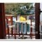 Lykomides Rooms_lowest prices_in_Hotel_Sporades Islands_Skyros_Linaria