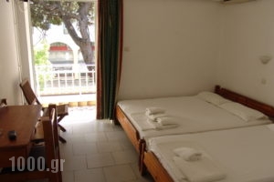 Camelia_travel_packages_in_Dodekanessos Islands_Kos_Kos Chora