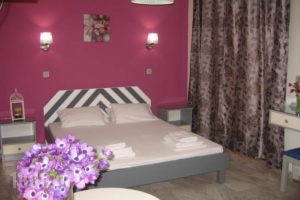 Saint Trope Studios_lowest prices_in_Apartment_Crete_Chania_Galatas