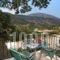 Faos Luxury Apartments_best deals_Apartment_Ionian Islands_Kefalonia_Aghia Efimia