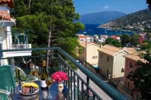 Faos Luxury Apartments_holidays_in_Apartment_Ionian Islands_Kefalonia_Aghia Efimia
