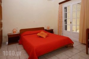 Alexandra Natalia_best prices_in_Apartment_Ionian Islands_Corfu_Melitsa