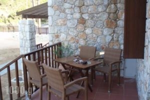 Agriorodo_best deals_Hotel_Crete_Chania_Sfakia
