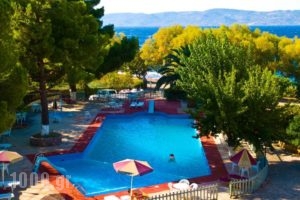 Hotel Molyvosii_travel_packages_in_Aegean Islands_Lesvos_Mythimna (Molyvos
