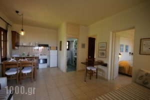 Artemis Village Apartments_best deals_Apartment_Crete_Chania_Stavros