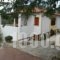 Hotel Heleni Apartments_best deals_Apartment_Peloponesse_Argolida_Archea (Palea) Epidavros