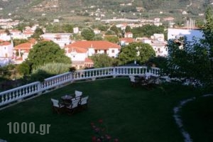 Albatros Rooms_lowest prices_in_Apartment_Sporades Islands_Skopelos_Skopelos Chora