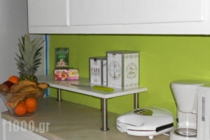 AthensColorful Urban Home_holidays_in_Room_Central Greece_Attica_Athens