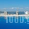 Alex Hotel_holidays_in_Hotel_Cyclades Islands_Mykonos_Mykonos ora