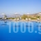 Aeolos_holidays_in_Apartment_Cyclades Islands_Paros_Chrysi Akti