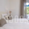 Aeolos_best prices_in_Apartment_Cyclades Islands_Paros_Chrysi Akti