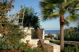 Pelagos Holidays Apartments_best deals_Apartment_Crete_Chania_Agia Marina