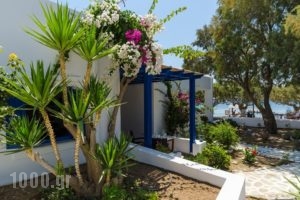 Mouras Studios_best prices_in_Apartment_Dodekanessos Islands_Astipalea_Livadia