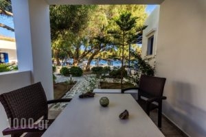 Mouras Studios_lowest prices_in_Apartment_Dodekanessos Islands_Astipalea_Livadia