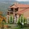 Archontiko Christodoulou_best deals_Hotel_Epirus_Arta_Arta City