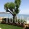 Hermes Beach Studios_best deals_Apartment_Crete_Chania_Stalos