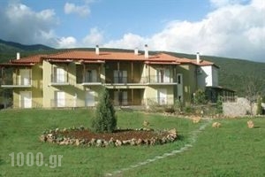 Ofiteia_accommodation_in_Hotel_Central Greece_Fthiotida_Amfiklia