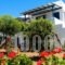 Maroussa Studios_accommodation_in_Hotel_Cyclades Islands_Naxos_Naxos chora