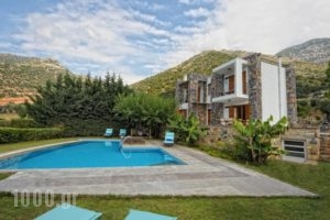 Manolioudis Villas_best deals_Villa_Crete_Rethymnon_Mylopotamos