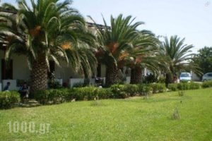 Meroi Studios_lowest prices_in_Hotel_Sporades Islands_Skyros_Skyros Chora